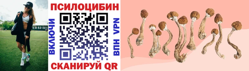 Галлюциногенные грибы Psilocybine cubensis  сколько стоит  Лабинск 